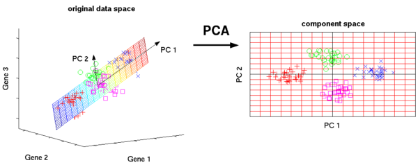 principal component analysis pca dimension reduction eigenvectors eigenvalues pca